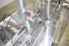 Used All Fill Model DHAA-400 Dual Head Automatic Inline Auger Filler